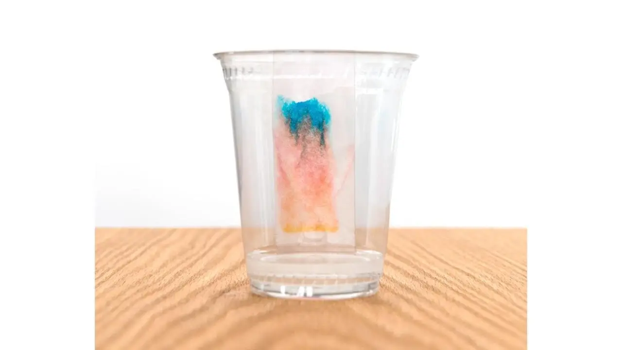 Cromatografia com Caneta Hidrocor